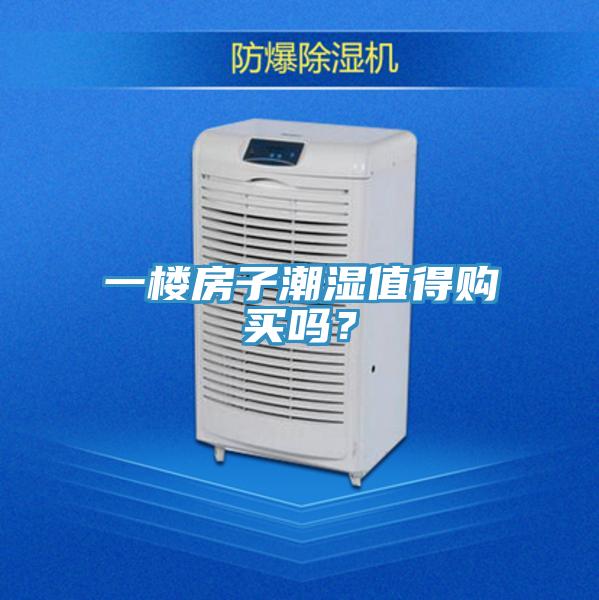 一樓房子潮濕值得購買嗎?