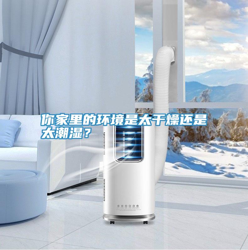 你家里的環境是太干燥還是太潮濕?