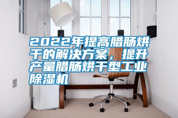 2022年提高臘腸烘干的解決方案,提升產量臘腸烘干型工業除濕機