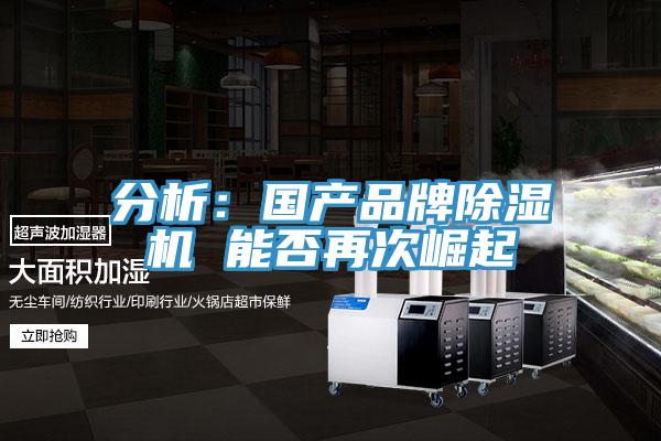 分析:國產(chǎn)品牌除濕機(jī) 能否再次崛起