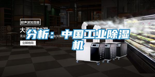 分析:中國工業(yè)除濕機(jī)