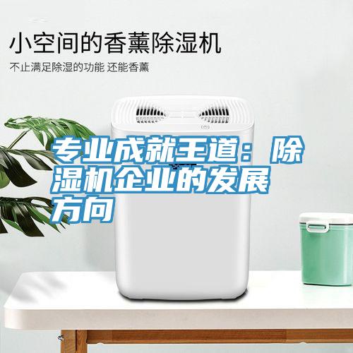 專業成就王道:除濕機企業的發展方向