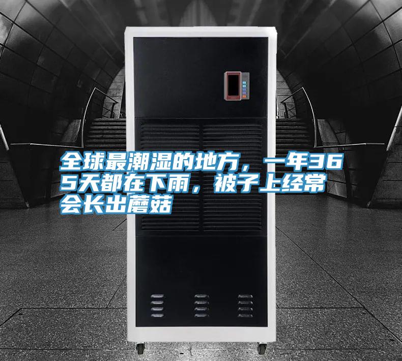 全球最潮濕的地方,一年365天都在下雨,被子上經常會長出蘑菇