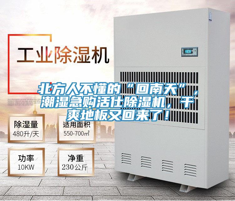 北方人不懂的“回南天”,潮濕急購活仕除濕機(jī),干爽地板又回來了!