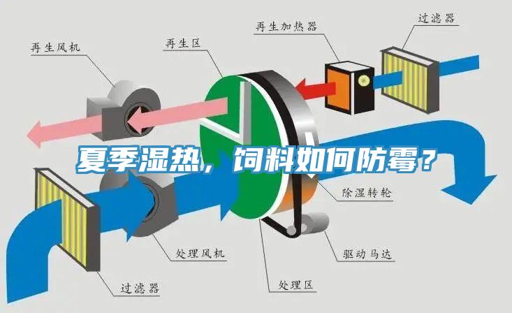 夏季濕熱,飼料如何防霉?