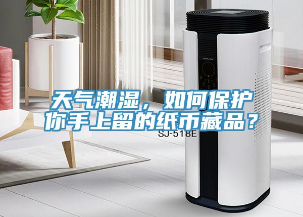 天氣潮濕,如何保護(hù)你手上留的紙幣藏品?