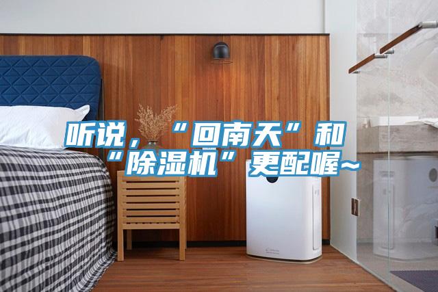 聽(tīng)說(shuō),“回南天”和“除濕機(jī)”更配喔~