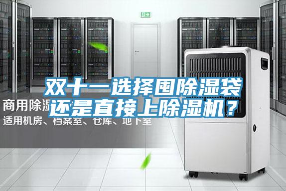雙十一選擇囤除濕袋還是直接上除濕機?