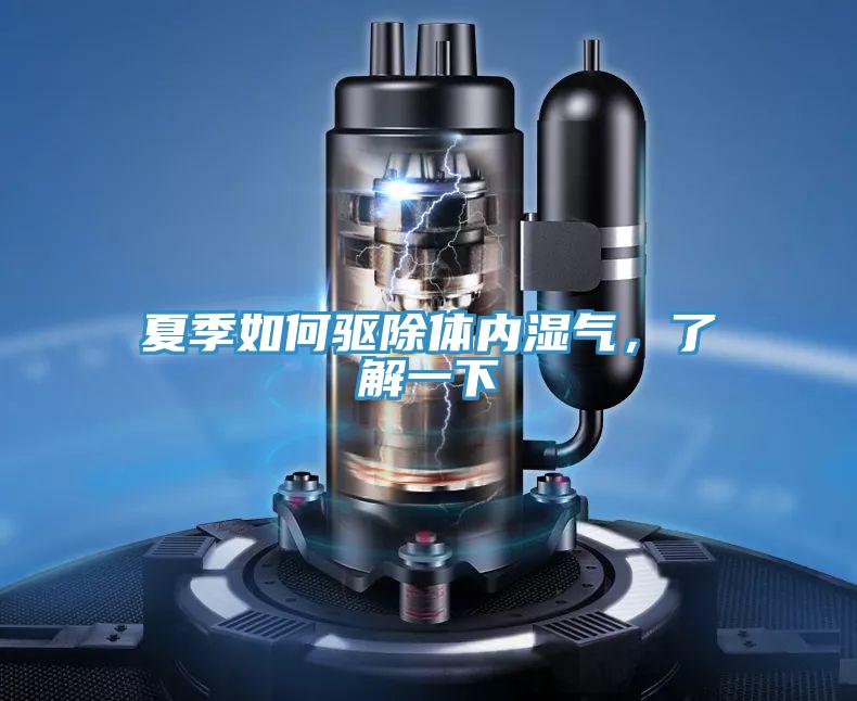 夏季如何驅除體內濕氣,了解一下