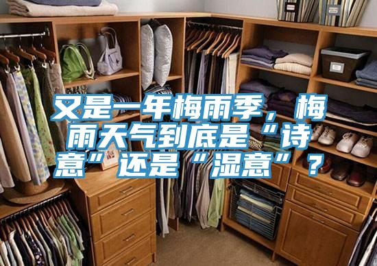 又是一年梅雨季,梅雨天氣到底是“詩意”還是“濕意”?