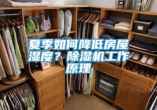 夏季如何降低房屋濕度?除濕機工作原理