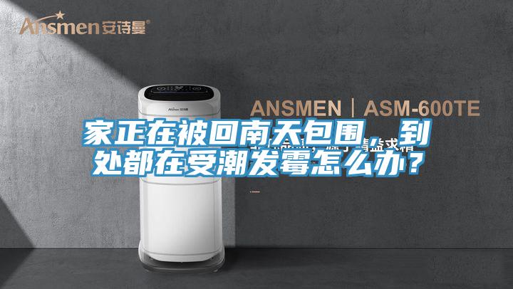 家正在被回南天包圍,到處都在受潮發(fā)霉怎么辦?