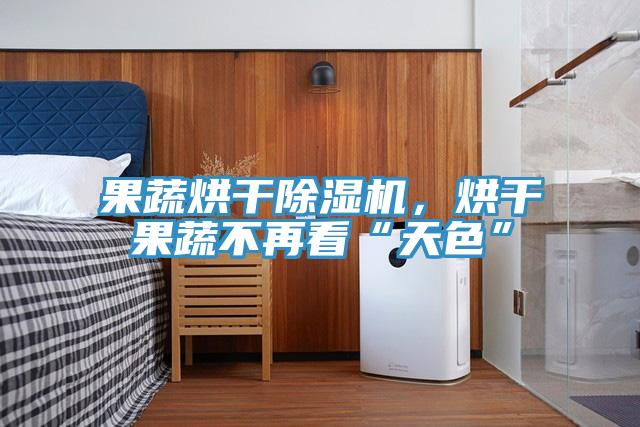 果蔬烘干除濕機(jī)，烘干果蔬不再看“天色”