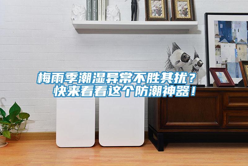 梅雨季潮濕異常不勝其擾？ 快來看看這個防潮神器！