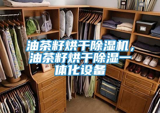 油茶籽烘干除濕機(jī)，油茶籽烘干除濕一體化設(shè)備