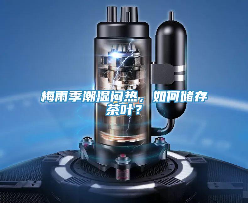 梅雨季潮濕悶熱，如何儲(chǔ)存茶葉？