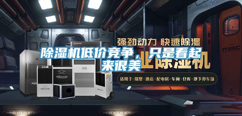 除濕機(jī)低價(jià)競(jìng)爭(zhēng)，只是看起來(lái)很美