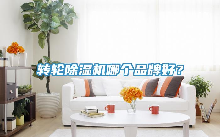 轉(zhuǎn)輪除濕機(jī)哪個(gè)品牌好？