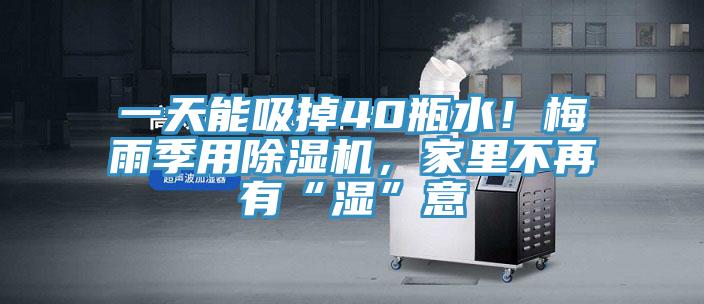一天能吸掉40瓶水！梅雨季用除濕機(jī)，家里不再有“濕”意
