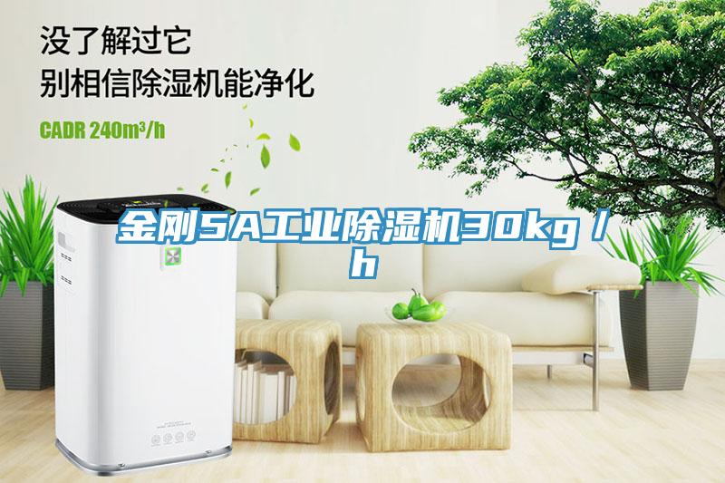 金剛5A工業除濕機30kg/h