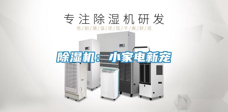 除濕機:小家電新寵