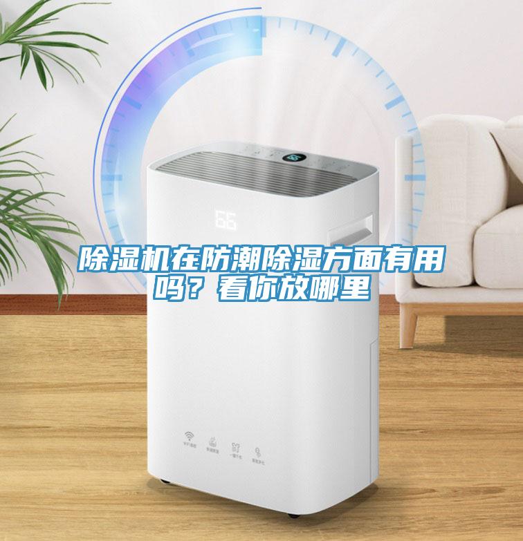 除濕機在防潮除濕方面有用嗎?看你放哪里