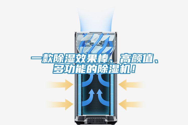 一款除濕效果棒、高顏值、多功能的除濕機(jī)！