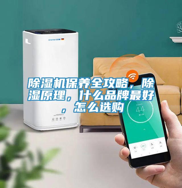 除濕機保養全攻略,除濕原理,什么品牌最好,怎么選購