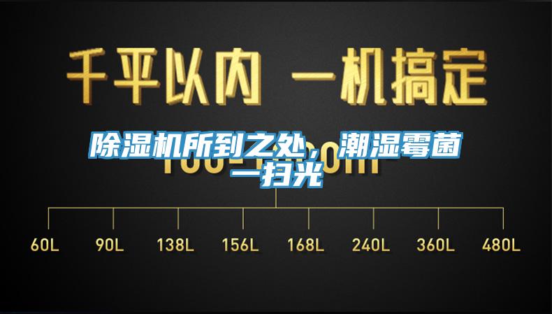 除濕機所到之處，潮濕霉菌一掃光