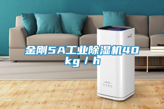 金剛5A工業除濕機40kg/h