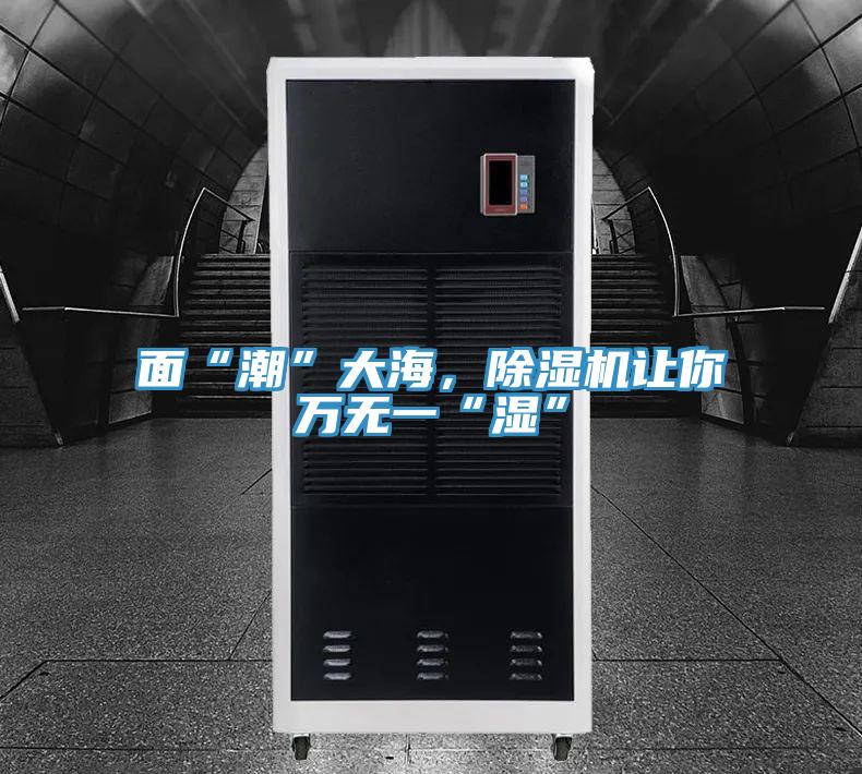 面“潮”大海,除濕機(jī)讓你萬(wàn)無(wú)一“濕”