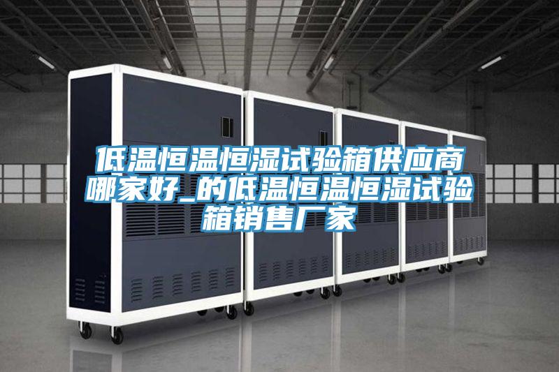 低溫恒溫恒濕試驗(yàn)箱供應(yīng)商哪家好_的低溫恒溫恒濕試驗(yàn)箱銷售廠家