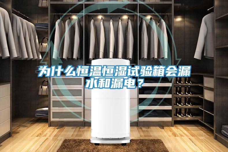 為什么恒溫恒濕試驗箱會漏水和漏電?