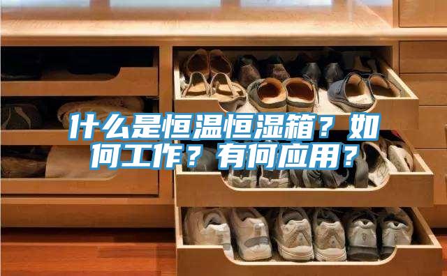 什么是恒溫恒濕箱?如何工作?有何應用?