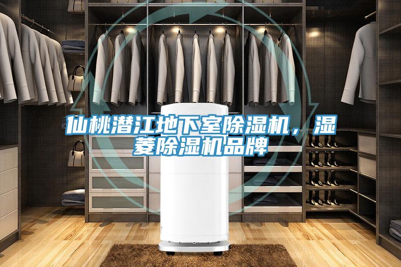 仙桃潛江地下室除濕機，濕菱除濕機品牌