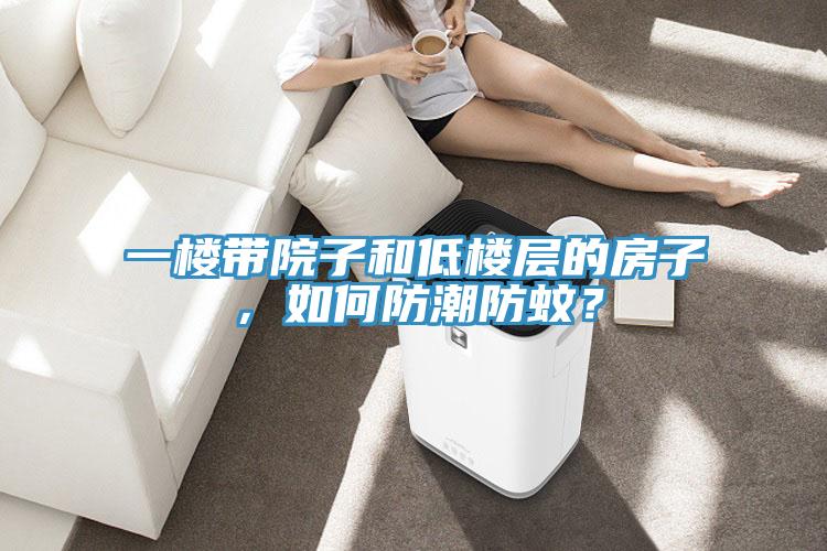 一樓帶院子和低樓層的房子,如何防潮防蚊?