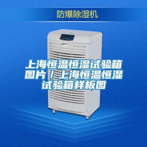 上海恒溫恒濕試驗箱圖片/上海恒溫恒濕試驗箱樣板圖