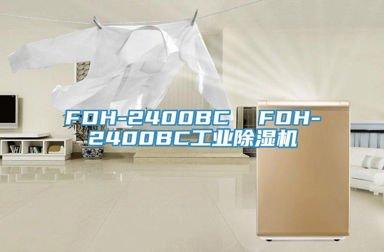 FDH-2400BC FDH-2400BC工業(yè)除濕機