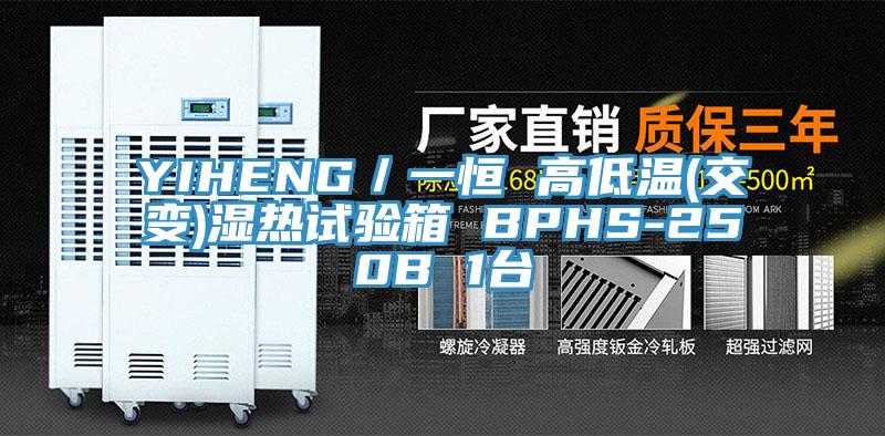 YIHENG/一恒 高低溫(交變)濕熱試驗箱 BPHS-250B 1臺