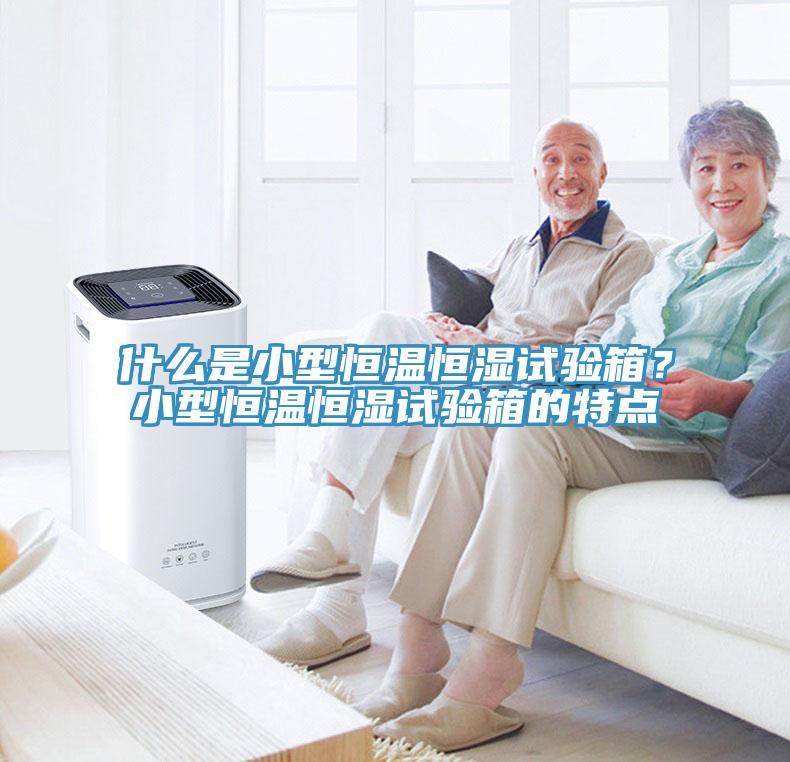 什么是小型恒溫恒濕試驗箱？小型恒溫恒濕試驗箱的特點
