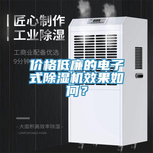 價格低廉的電子式除濕機效果如何？