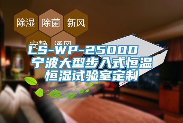 LS-WP-25000 寧波大型步入式恒溫恒濕試驗室定制