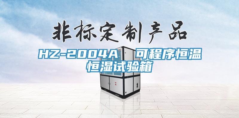 HZ-2004A 可程序恒溫恒濕試驗(yàn)箱