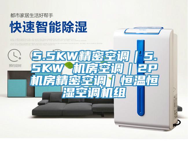5.5KW精密空調|5.5KW 機房空調|2P機房精密空調|恒溫恒濕空調機組