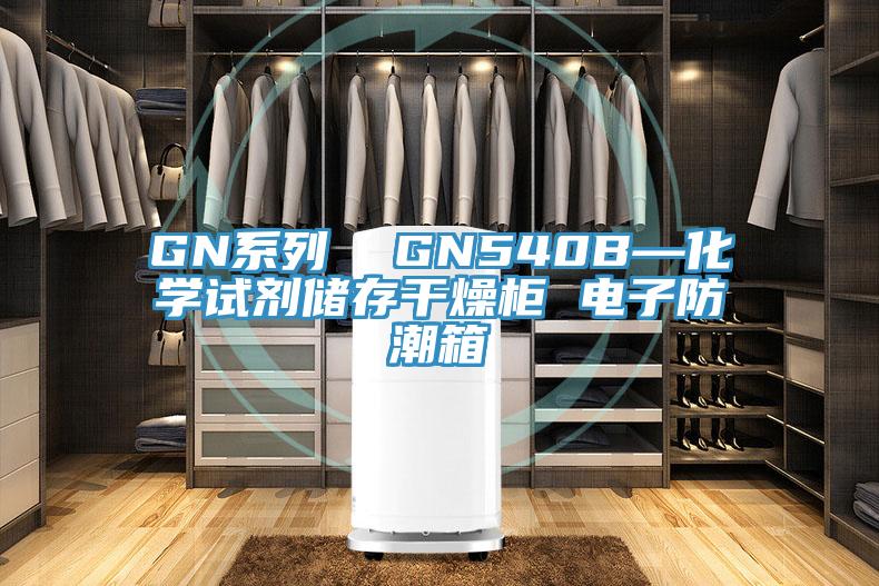 GN系列 GN540B—化學(xué)試劑儲存干燥柜 電子防潮箱