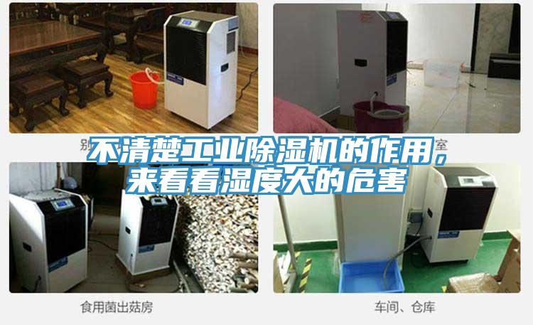 不清楚工業除濕機的作用,來看看濕度大的危害