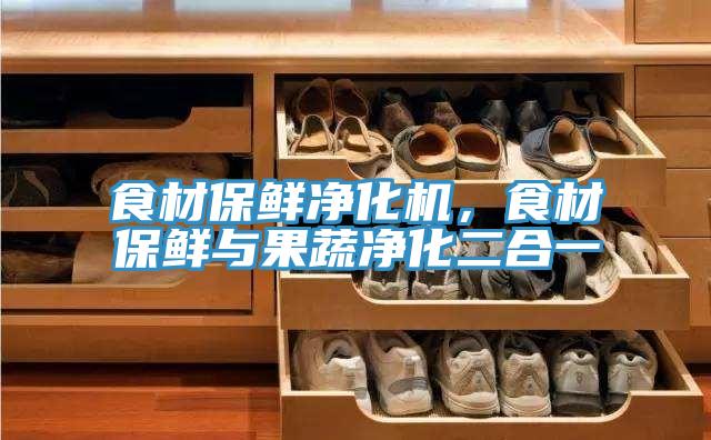 食材保鮮凈化機(jī),食材保鮮與果蔬凈化二合一