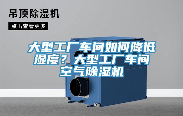 大型工廠車(chē)間如何降低濕度？大型工廠車(chē)間空氣除濕機(jī)