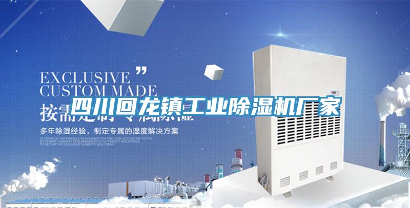 四川回龍鎮(zhèn)工業(yè)除濕機(jī)廠家