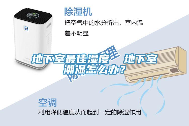 地下室最佳濕度  地下室潮濕怎么辦？